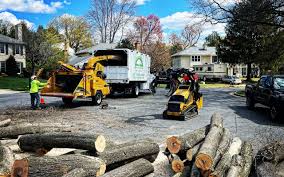 Best Hazardous Tree Removal  in Sea Ranch, CA